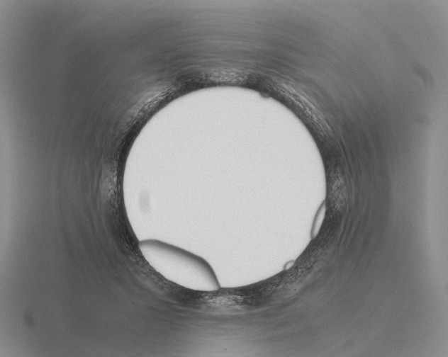 X0000115440407200912161458