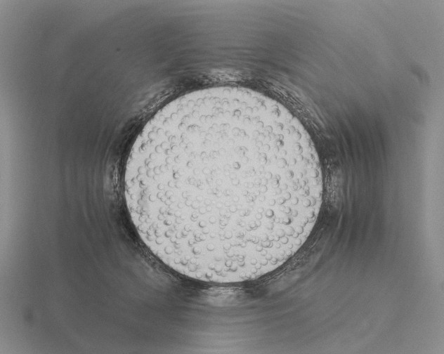 X0000115440418200912161458