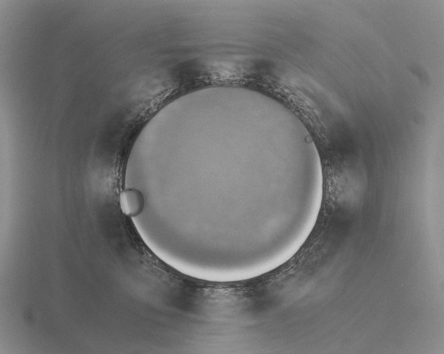 X0000115440419200912161458