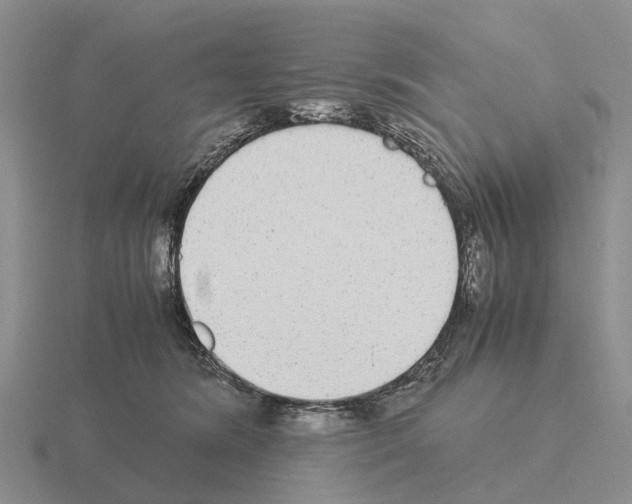 X0000115440420200912161458