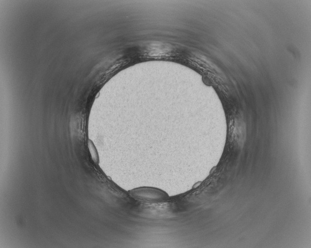 X0000115440421200912161458