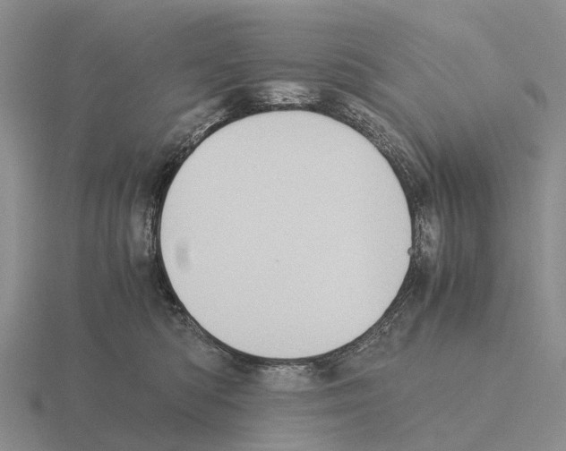 X0000115440422200912161458