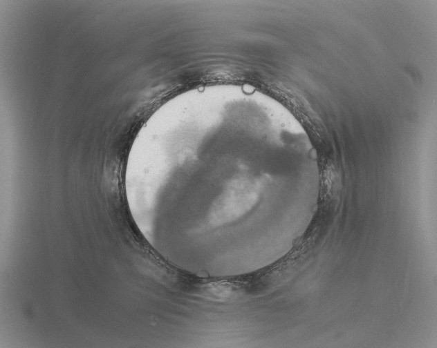 X0000115440423200912161458