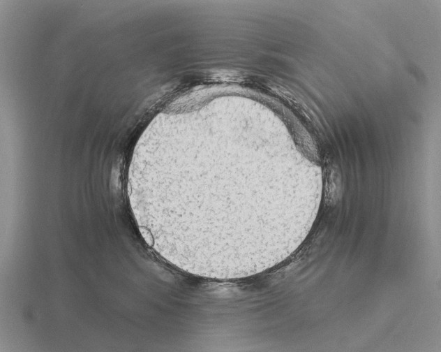 X0000115440424200912161458