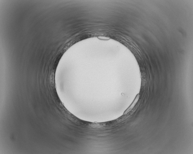 X0000115440425200912161458