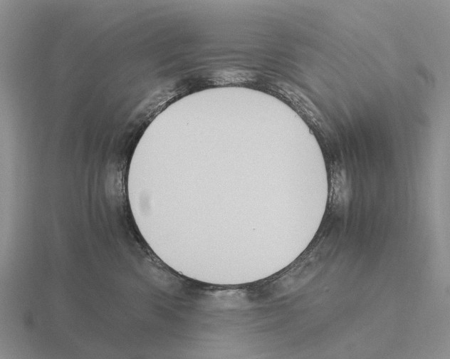X0000115440426200912161458
