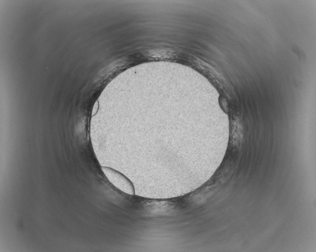 X0000115440428200912161458
