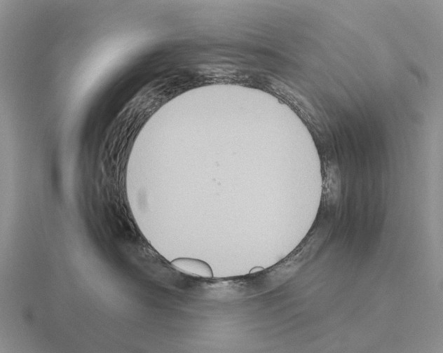 X0000115440430200912161458
