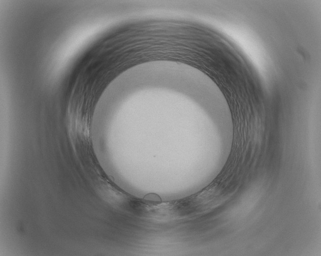 X0000115440431200912161458