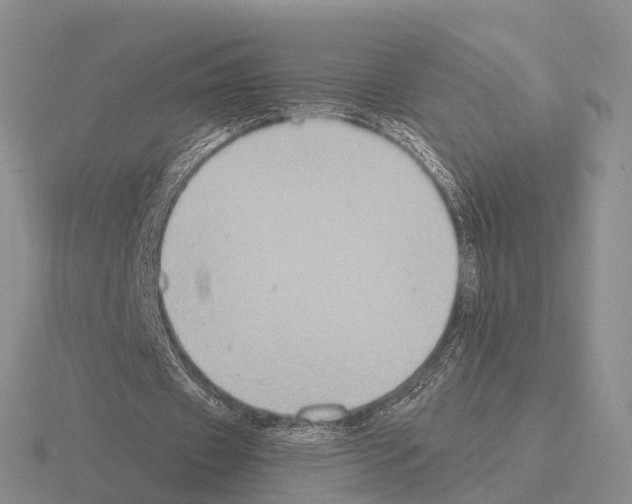 X0000115440433200912161457