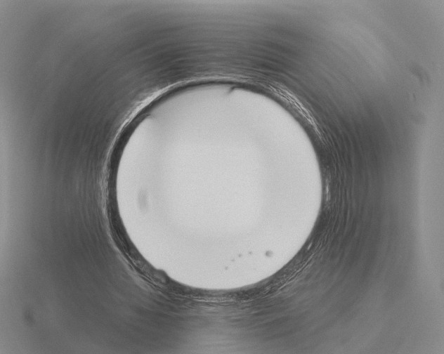 X0000115440436200912161457