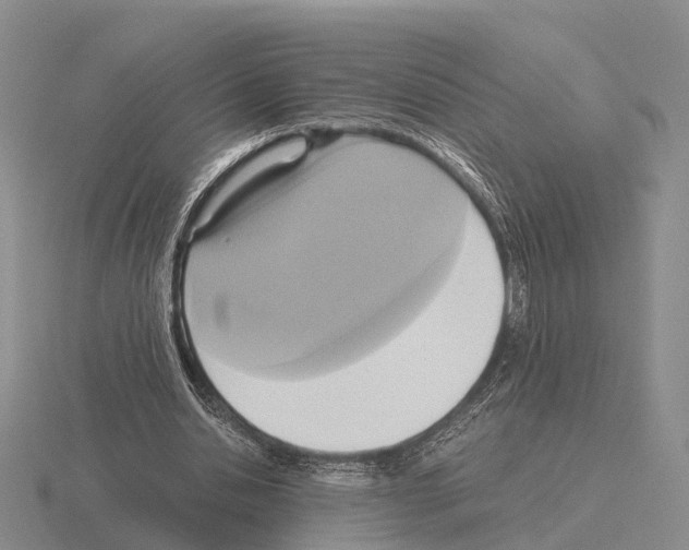 X0000115440438200912161457