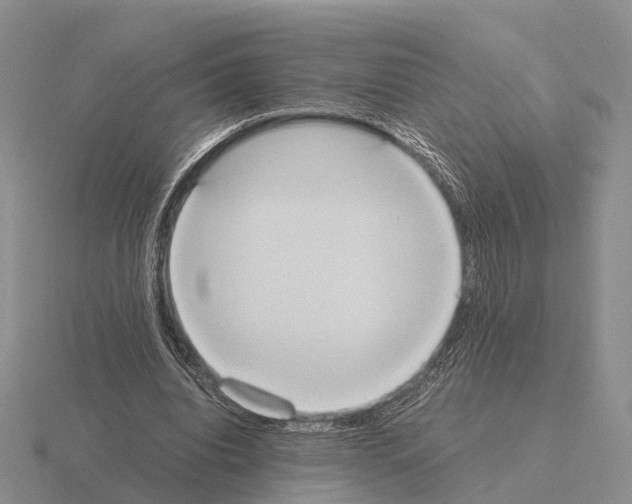 X0000115440440200912161457
