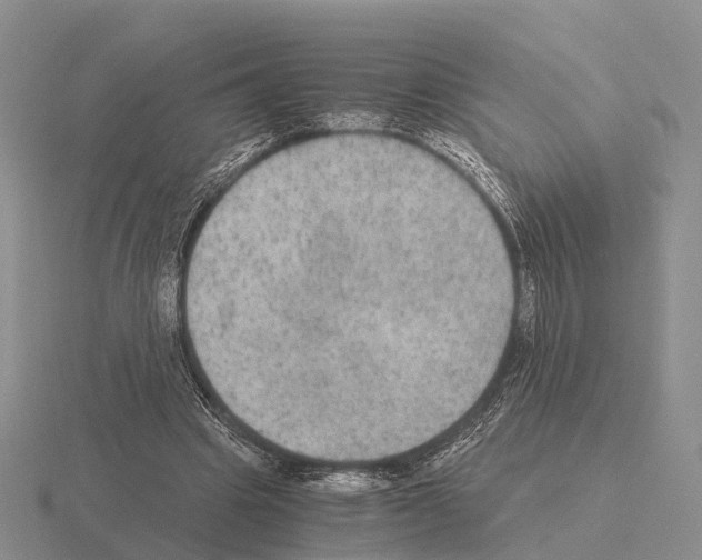 X0000115440441200912161457