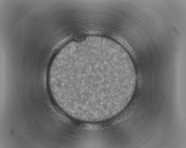 X0000115440442200912161457