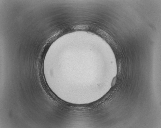 X0000115440444200912161457
