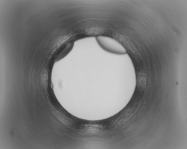 X0000115440448200912161457