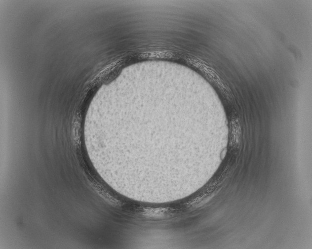X0000115440450200912161457