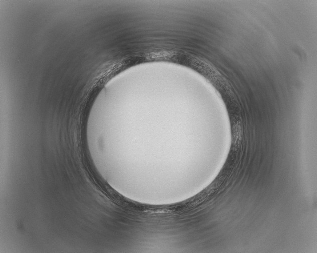 X0000115440452200912161457