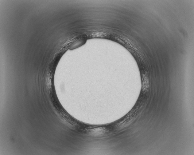 X0000115440456200912161458