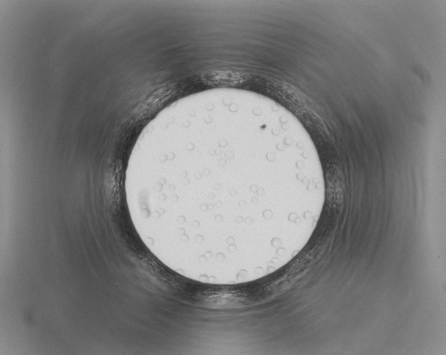 X0000115440460200912161458