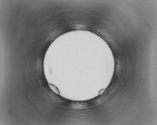 X0000115440461200912161458