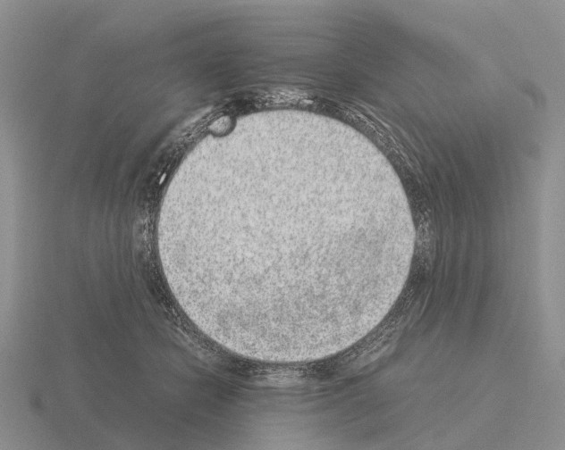X0000115440462200912161458