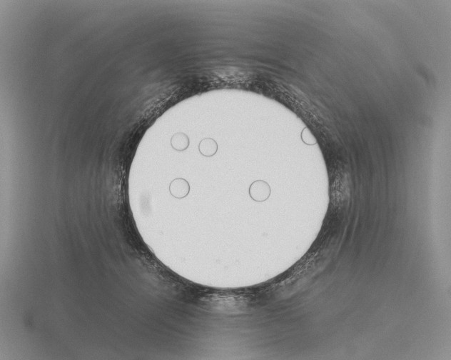 X0000115440464200912161458