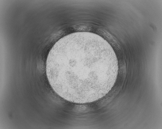 X0000115440469200912161458