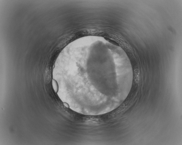 X0000115440471200912161458