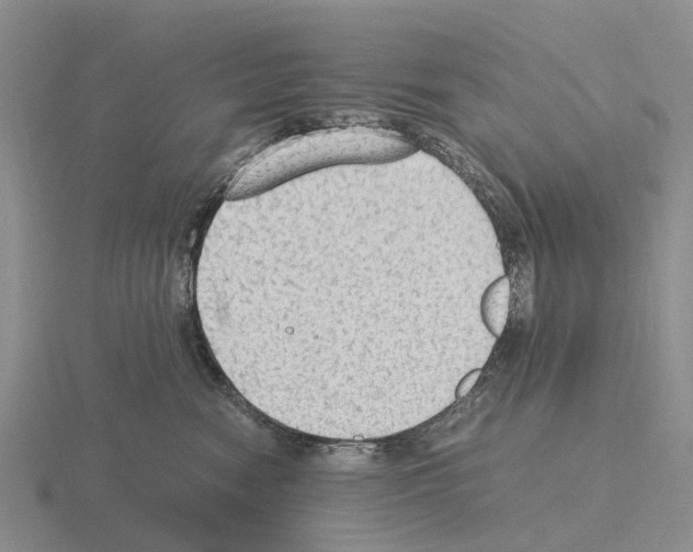 X0000115440474200912161458
