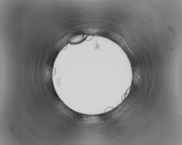 X0000115440476200912161458