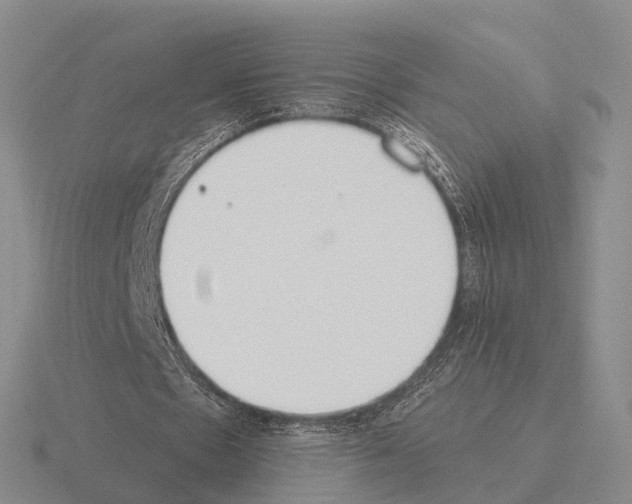 X0000115440481200912161457