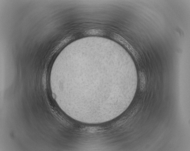 X0000115440482200912161457