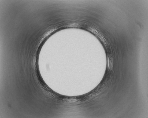X0000115440483200912161457