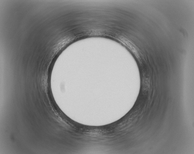 X0000115440485200912161457