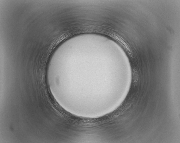 X0000115440489200912161457