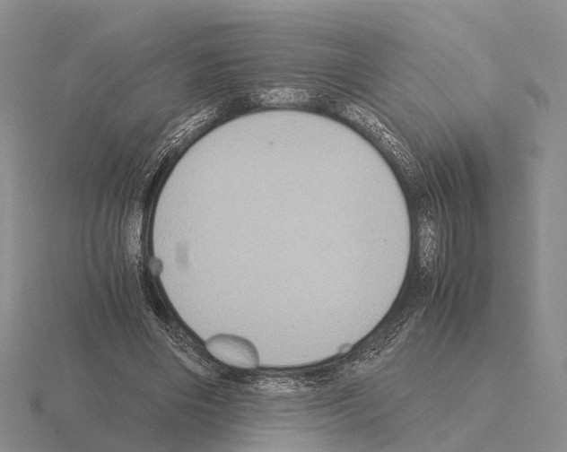 X0000115440490200912161457