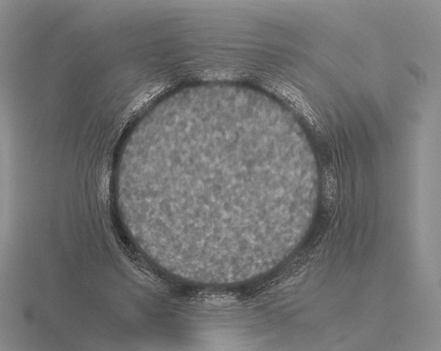 X0000115440491200912161457