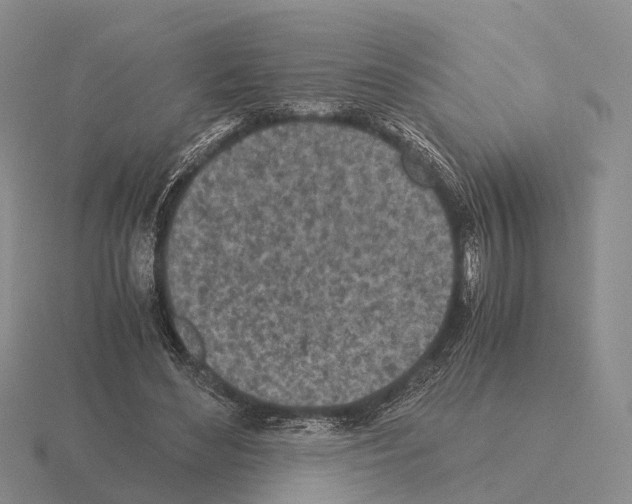 X0000115440492200912161457