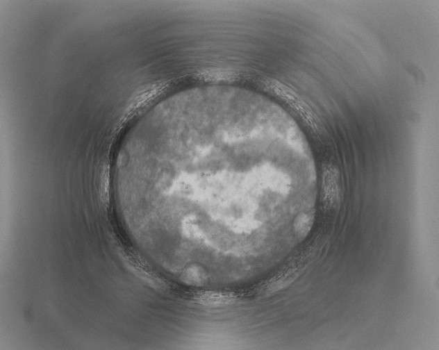 X0000115440494200912161457