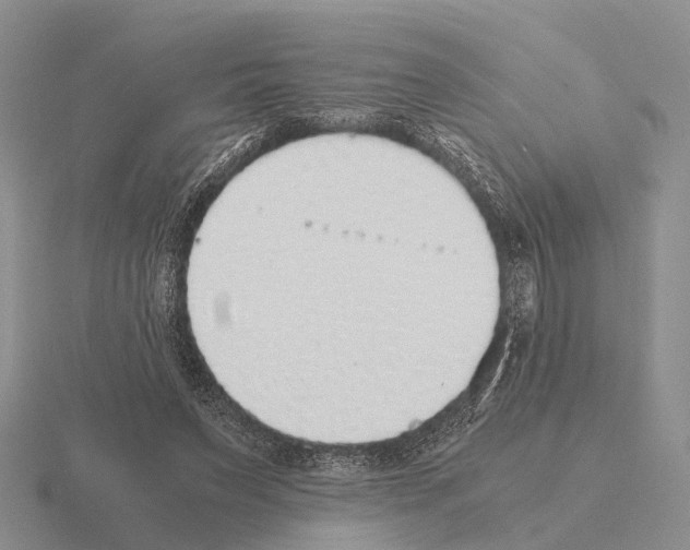 X0000115440495200912161457