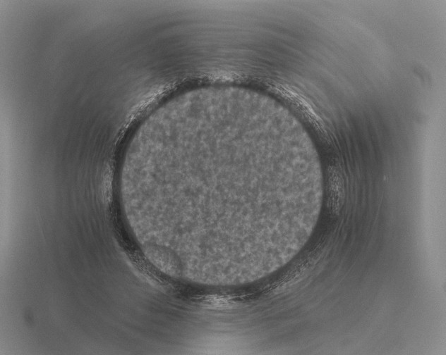 X0000115440496200912161457