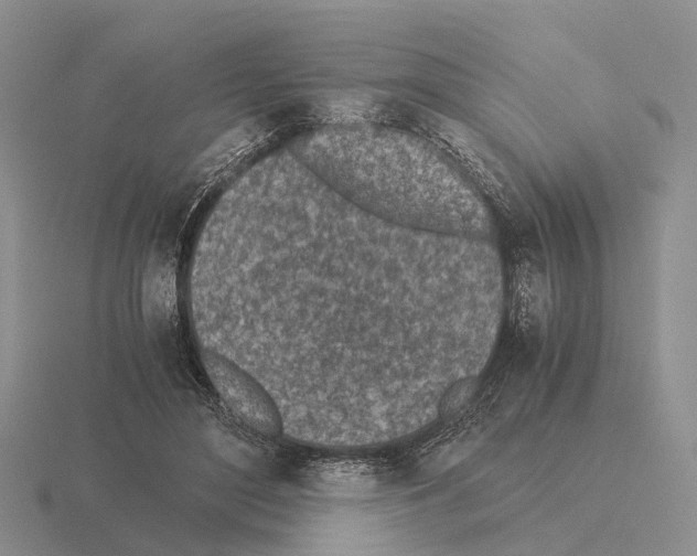 X0000115440500200912161457