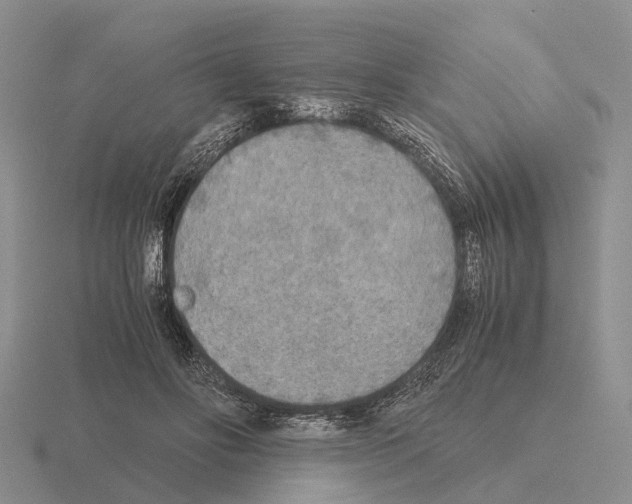 X0000115440502200912161457
