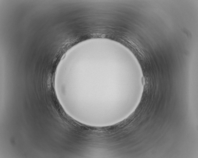 X0000115440504200912161457