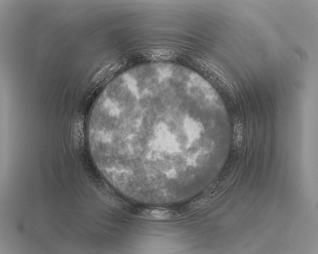 X0000115440506200912161457