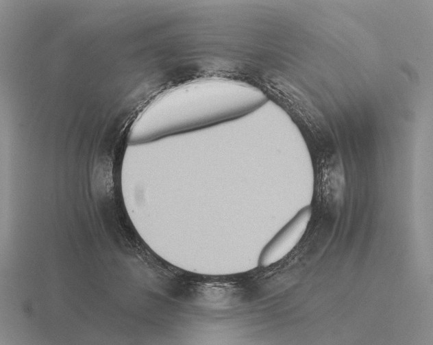 X0000115440508200912161457
