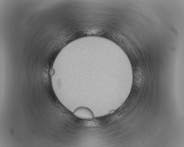 X0000115440510200912161457
