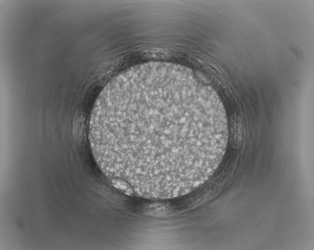 X0000115440511200912161457